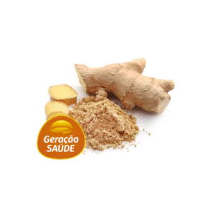 GENGIBRE EM PÓ pote 100 g Geração Saúde Integral por natureza